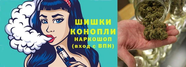 PSILOCYBIN Кулебаки