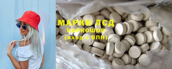 прущие грибы Куйбышев
