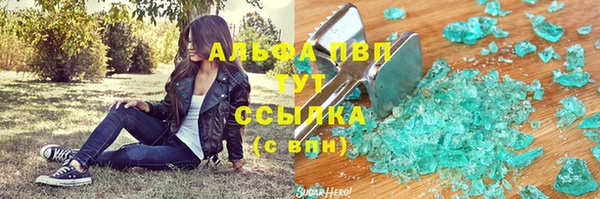 прущие грибы Куйбышев