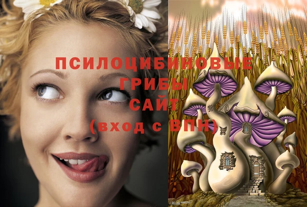 ешки Кукмор