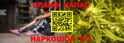 эйфоретик Гусь-Хрустальный