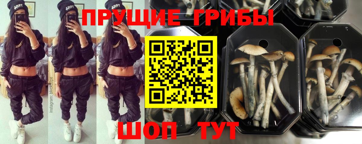 Первоуральск  Псилоцибиновые грибы мухоморы  Вход с VPN 
